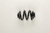 BILSTEIN 38-236389 Coil Spring